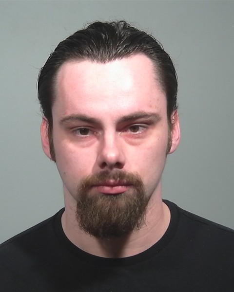 Mugshot of LOUIS S MARTIN