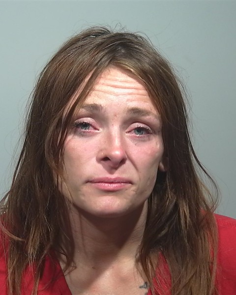 Mugshot of Darian A Damiani