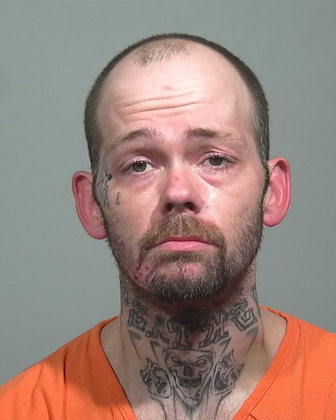 Mugshot of Shane M Palmer
