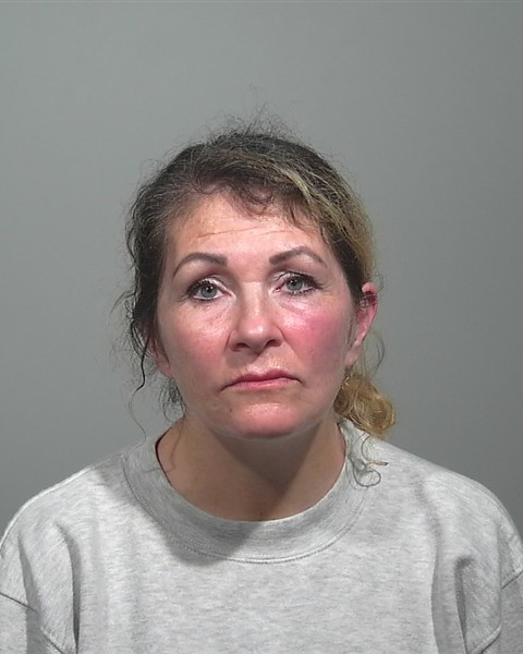 Mugshot of Laura L Bermudez