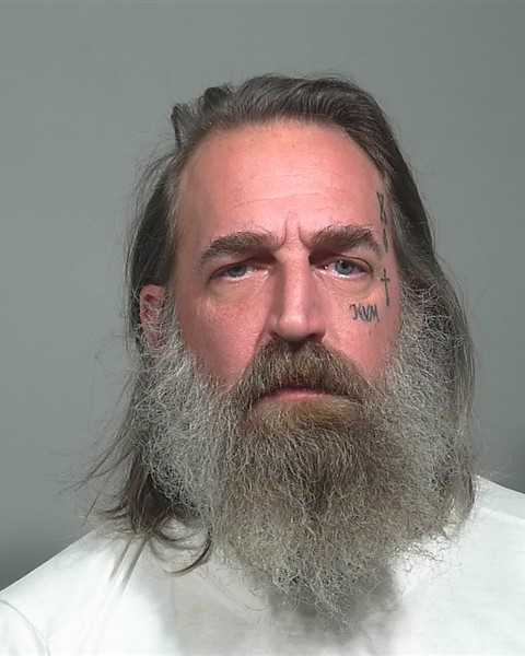 Mugshot of Aaron n Karp