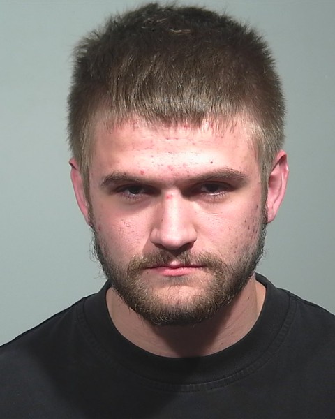 Mugshot of Evan D Bridges