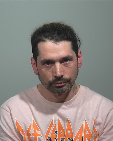 Mugshot of Sean M Owen
