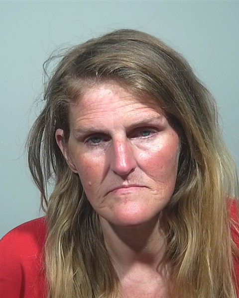 Mugshot of Amie L Arant