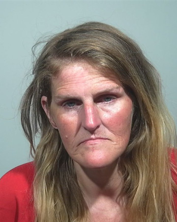 Mugshot of Amie L Arant