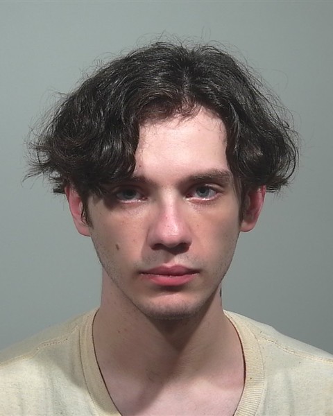 Mugshot of William E Hammontree