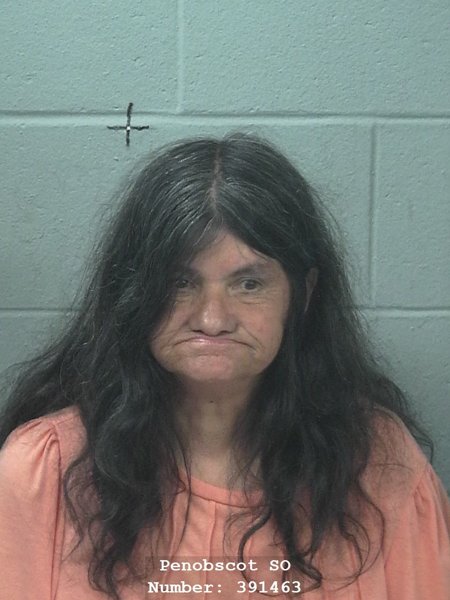 Mugshot of Vicki L Bunker