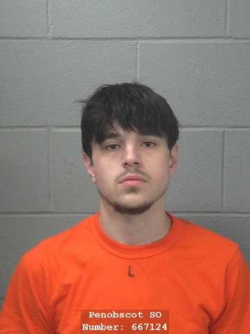 Mugshot of Michael S Gibbs