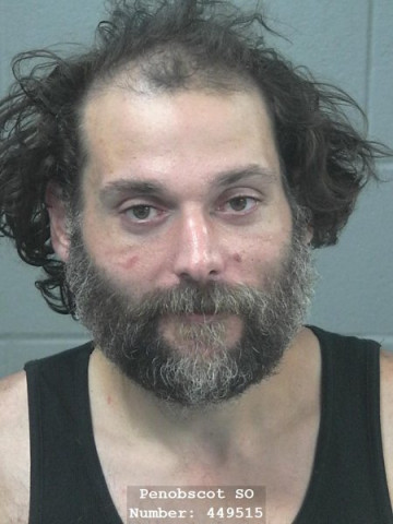 Mugshot of Wesley E Price