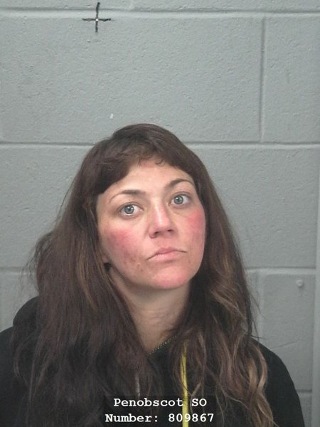 Mugshot of Alisa Paige Wysarver