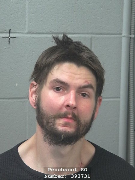Mugshot of Paul W Wilcox