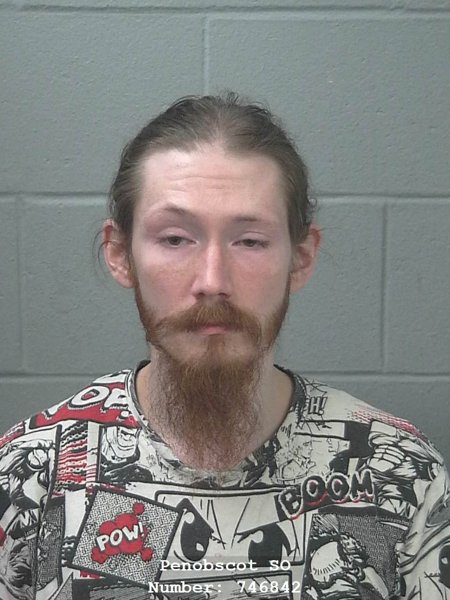 Mugshot of Nathaniel James Martin
