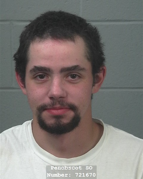 Mugshot of Ian Thomas DodgeAlbert