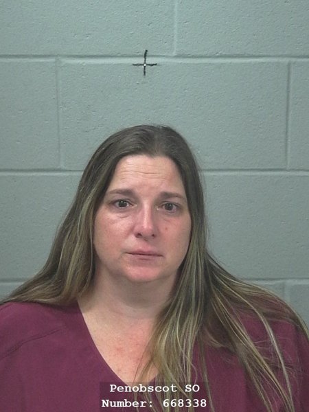Mugshot of Crystal Lynn Holly