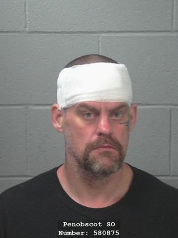 Mugshot of David M Vieira