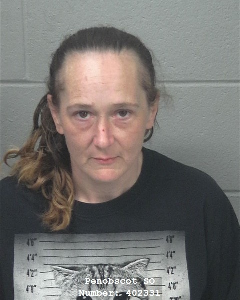 Mugshot of Jessica Lyn Higgins