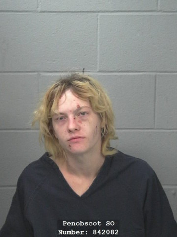 Mugshot of Laurie Sharon Antonia Bourassa