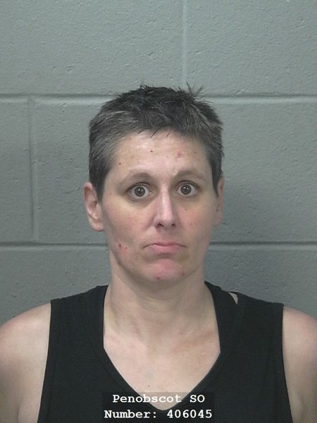 Mugshot of Nicole Danielle Bois