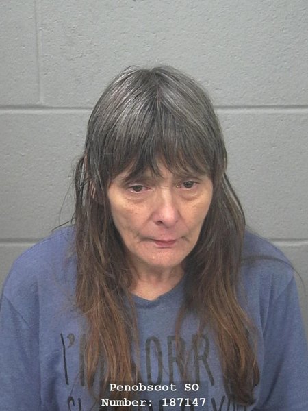 Mugshot of TheresaJo Eugeania OShea