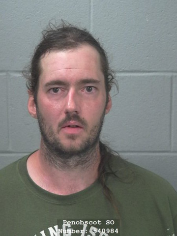 Mugshot of Nicholas A Woods