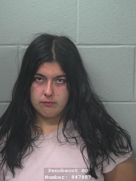 Mugshot of Lily Ray