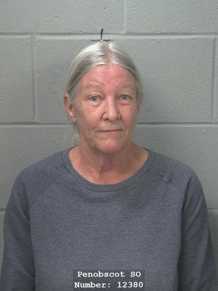 Mugshot of Lynnette Faye Howes