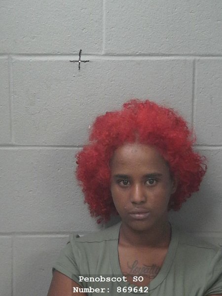 Mugshot of Ikran Mohamed Abdi
