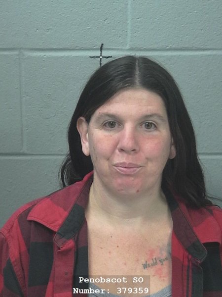 Mugshot of Miranda E Hamm