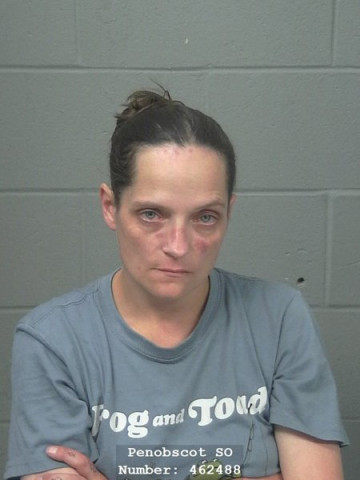 Mugshot of Angela P V Sadosky