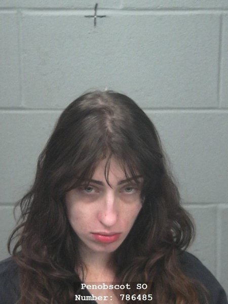 Mugshot of Morgan J McNealy