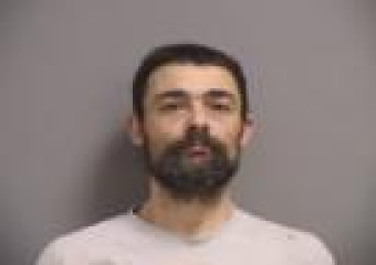 Mugshot of MICHAEL W MCGOWAN