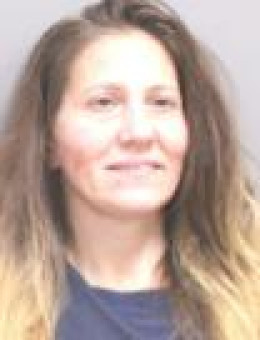 Mugshot of BRANDICE MARIE DOTOLO