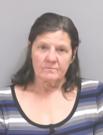 Mugshot of LISA A HALL