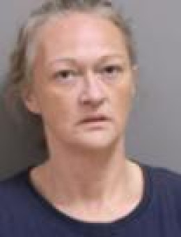Mugshot of JENNIFER ANN ORTIZ