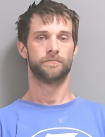 Mugshot of BILLY-RAY DENMAN