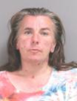 Mugshot of HEIDI ANNE FRENCH