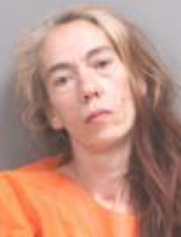 Mugshot of DANIELLE ADAMS