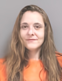 Mugshot of REBECCA LYN CURTIS