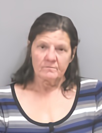 Mugshot of LISA A HALL