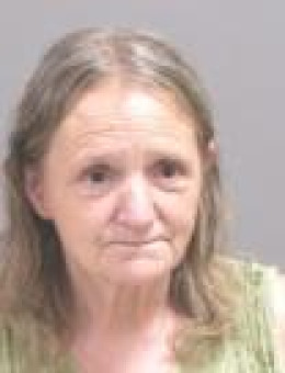 Mugshot of LISA LORRAINE PAIGE