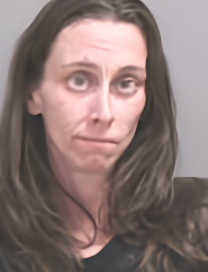 Mugshot of VIRGINA KERR