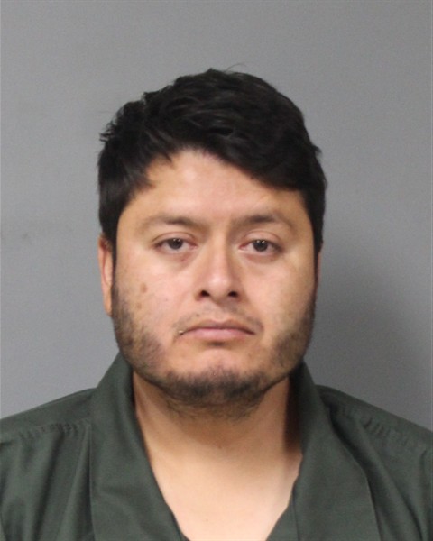 Mugshot of PEDRO LUIS PEREZ