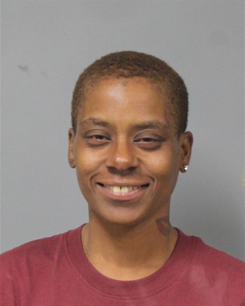 Mugshot of TONI ANNETTE DORTCH