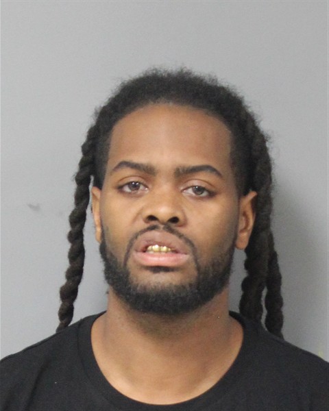 Mugshot of REGGY DEANGLO PALMA