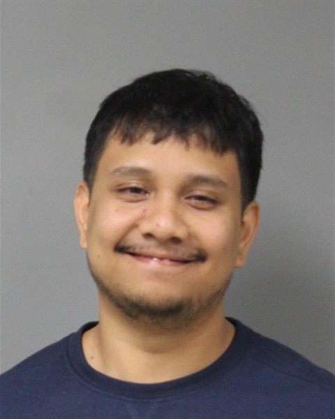 Mugshot of NICOLAS NUPATTHIYA TKEL