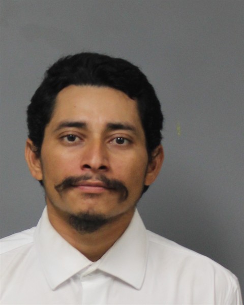 Mugshot of MILTON ALEXANDER ALFARO-VASQUES