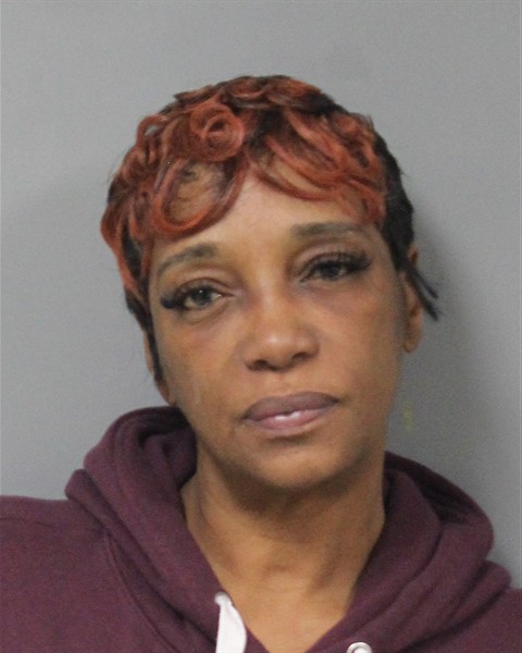 Mugshot of RENITA RAE MAYO-SWANIGAN
