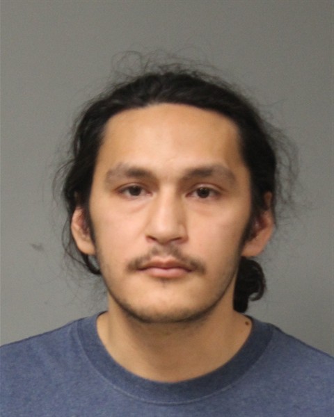 Mugshot of DAVID EMILIANO MANDUJANO