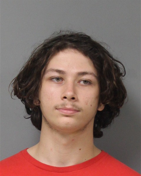 Mugshot of DARIUS TYRONE GOINS