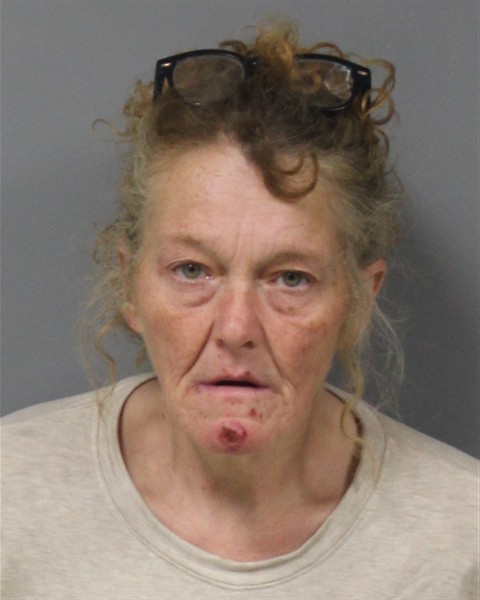 Mugshot of CYNTHIA LYNN SORRELS